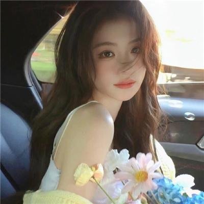恋恋飞翔